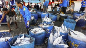 Nelayan menyortir ikan-ikan laut yang telah dibekukan di kawasan Pelabuhan Perikanan Muara Baru, Jakarta, Rabu (4/4). 