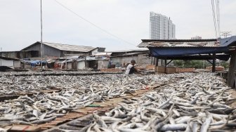 Aromanya Menggugah Selera, Ini 4 Efek Samping Kebanyakan Makan Ikan Asin