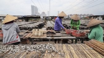 Penurunan Produksi Ikan Asin