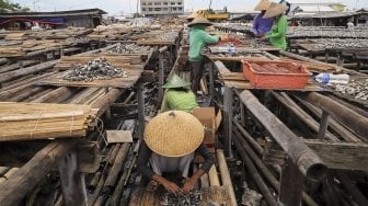 Warga menjemur Ikan-ikan di atas anyaman bambu yang sebelumnya sudah diolah di Muara Angke, Jakarta, Kamis (5/4). 