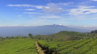 Eksotisme Blitar dalam Besutan Livi Zheng