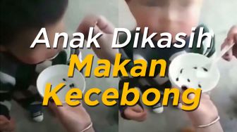 Geger, Ibu Kasih Makan Anaknya Kecebong Hidup