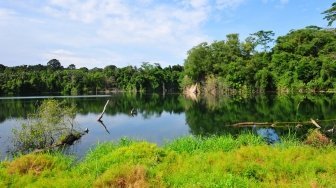 Obat Anti-bosan di Singapura: Pulau Ubin