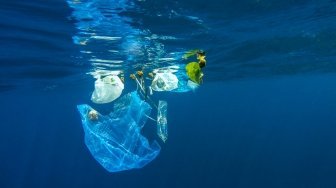 Mengapa Satwa Laut Terpikat Plastik