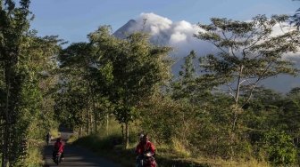 Letusan Freatik Picu Satwa Merapi Turun ke Perkampungan