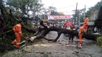 Diguyur Hujan Deras, Tangerang Selatan Rawan Pohon Tumbang