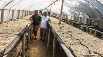 Ketua Himpunan Kerukunan Petani Indonesia (HKTI) yang juga sebagai Kepala Staf Kepresidenan Moeldoko meninjau pengolahan kopi di Basecamp Persaudaraan Gunung Puntang Indonesia (PGPI) Shelter Kopi Sunda Hejo, Gunung Puntang, Kabupaten Bandung, Jawa Barat, Selasa (29/5). 