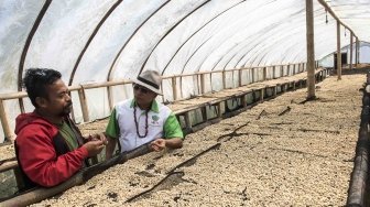 Moeldoko Kunjungi Perkebunan Kopi Puntang