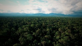 Menjejak di Negeri Hijau Papua