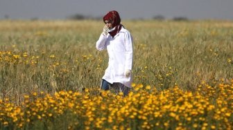 Israel: Tentara Kami Tak Sengaja Tembak Mati Razan Al Najjar