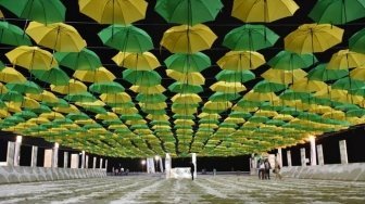 Kumpulan Berita Pantai Ancol Ultah Berujung Maut Hilarius