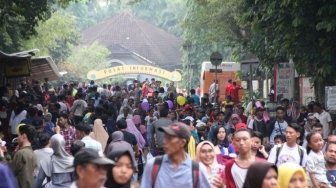 Libur Natal, Ragunan Mulai Dipadati Ribuan Pengunjung