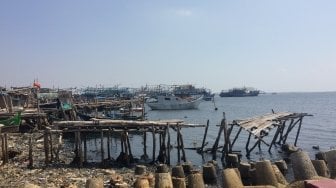 Pemprov DKI Cegah Rob Dari Perairan Sekitar Pelabuhan Muara Angke