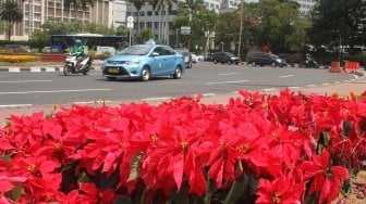 Tanaman bunga terlihat bermekaran menghiasi trotoar jalan di kawasan Bundaran Monas, Jakarta Pusat, Sabtu (23/6/2018), terkait momen HUT ke-491 DKI Jakarta. [Suara.com/Oke Atmaja]