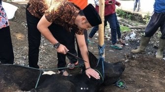 Menang Pilkada, Artis Sinetron Ini Langsung Potong Sapi