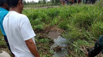 Diterkam Buaya, Jasad Pemancing di Sumsel Tinggal Badan dan Kaki