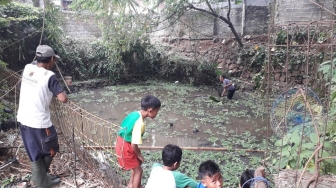 Si Manis, Buaya Peliharaan Haji Mamat di Kolam Dekat Rumahnya