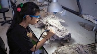 Sebelum Jurassic, Arkeolog Temukan Dinasaurus dari Zaman Ini