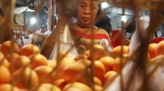 Perbedaan Telur Ayam Infertil dan Fertil, Apa Pengaruhnya Pada Gizi?