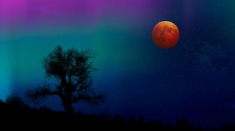 Gerhana Bulan Total Malam Ini Bisa Disaksikan Langsung dengan Mata Telanjang