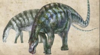 Ditemukan Spesies Dinosaurus Baru di Cina