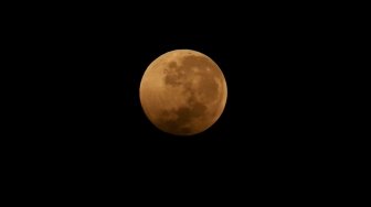 Gerhana bulan total atau "Blood Moon" terlihat dari kawasan Senayan, Jakarta, Sabtu (28/7) dini hari. Gerhana Bulan tersebut merupakan yang terlama pada abad ini dengan durasi sepanjang 103 menit dan seluruh proses gerhana sekitar 6,5 jam. [Oke Dwi Atmaja/Suara.com]