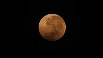 Gerhana bulan total atau "Blood Moon" terlihat dari kawasan Senayan, Jakarta, Sabtu (28/7) dini hari. Gerhana Bulan tersebut merupakan yang terlama pada abad ini dengan durasi sepanjang 103 menit dan seluruh proses gerhana sekitar 6,5 jam. [Oke Dwi Atmaja/Suara.com]