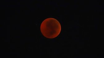 Gerhana bulan total atau "Blood Moon" terlihat dari kawasan Senayan, Jakarta, Sabtu (28/7) dini hari. Gerhana Bulan tersebut merupakan yang terlama pada abad ini dengan durasi sepanjang 103 menit dan seluruh proses gerhana sekitar 6,5 jam. [Oke Dwi Atmaja/Suara.com]