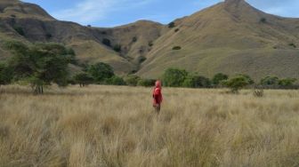 Cancel  Save changes Padang Savana Gili Lawa Terbakar