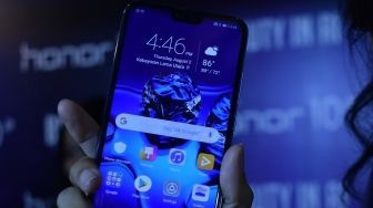 Jatuh dari Lantai 5, Honor 10 Masih Hidup Setahun Kemudian