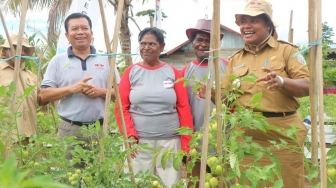 YBTS Gandeng Ewindo Bina 5.051 Petani Sayur di Papua