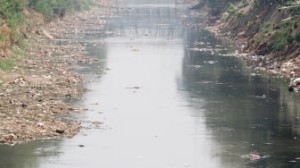 Intensitas hujan yang menurun dan memasuki musim kemarau menyebabkan debit air di sungai ciliwung mengering.[Suara.com/Oke Dwi Atmaja].