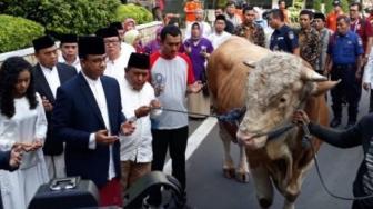 Idul Adha, Anies Baswedan Promosikan RPH  Dharma Jaya