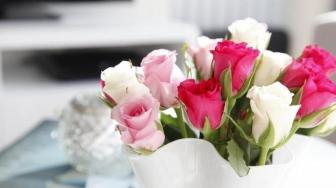 8 Macam Warna Bunga Mawar dan Maknanya, Ada yang Jadi Simbol Perselingkuhan