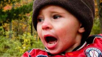 Bocah 5 Tahun Menjerit Saat Saksikan Penangkapan Ayahnya oleh Imigrasi