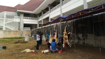 Jelang Iduladha, Pasokan Kebutuhan Pokok di Bantul Masih Tercukupi