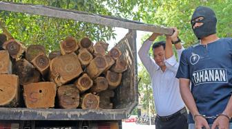 Dijanjikan Rp 8 Juta Angkut Kayu, Empat Sopir Truk Tak Mengira Dibui