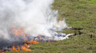 Petugas gabungan melakukan pemadaman kebakaran lahan di Tulung Selapan, Ogan Komering Ilir (OKI), Sumatera Selatan, Sabtu 