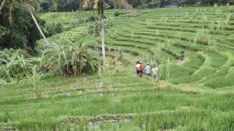 Jangan Lewatkan ke Desa Nyambu Saat ke Bali, Ini Alasannya