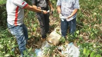 Jelang Pilpres 2019, Ribuan e-KTP Misterius Berserakan di Kebun Bambu