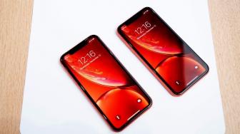 Pengin Dapat Gratis, Cewek Ini Mau Tukar Tubuhnya dengan iPhone XR Bekas