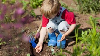 Kenalkan Anak pada Nutrisi Sehat dengan Belajar Menanam Sayur