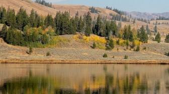 Wow, Yellowstone Jadi Taman Nasional Tertua Sejak Era Prasejarah