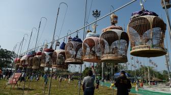 Para pengunjung mendengarkan alunan suara burung dalam Kontes Burung Berkicau di Provinsi Narathiwat, Thailand, Selasa (25/9). [AFP/Madaree TOHLALA]