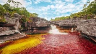 Sungai Lima Warna, Cano Cristales di Kolombia Bikin Takjub