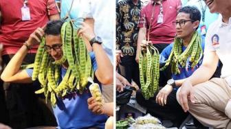 Hits: Negara dengan Stok Lelaki Ganteng Terbanyak, Cara Cermat Simpan Petai