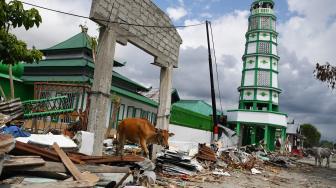 Suasana Masjid Al Amin diantara bangunan yang rusak akibat gempa dan tsunami di Wani, Donggala, Sulawesi Tengah, Minggu (14/10). [ANTARA FOTO/Wahyu Putro] 