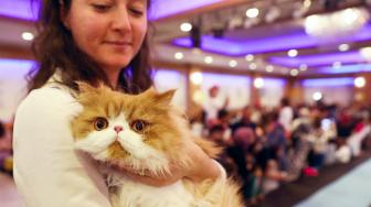 Seorang wanita membawa kucing peliharaanya mengikuti kontes kecantikan kucing internasional ke-3 di Ankara, Turki, Jumat (14/10). [AFP/ADEM ALTAN]