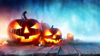 Teror di film Halloween yang Fenomenal