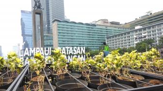 Tanaman di Bundaran HI Banyak yang Mati, Ini Kata Dinas Kehutanan